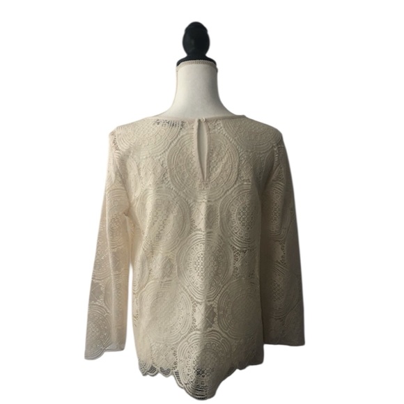 Loft women’s cream color lace medallion top Size medium - Picture 4 of 7